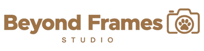 Beyond Frames Studio